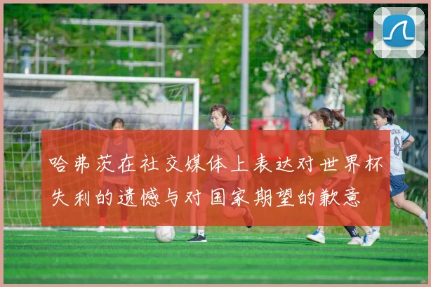 哈弗茨在社交媒体上表达对世界杯失利的遗憾与对国家期望的歉意