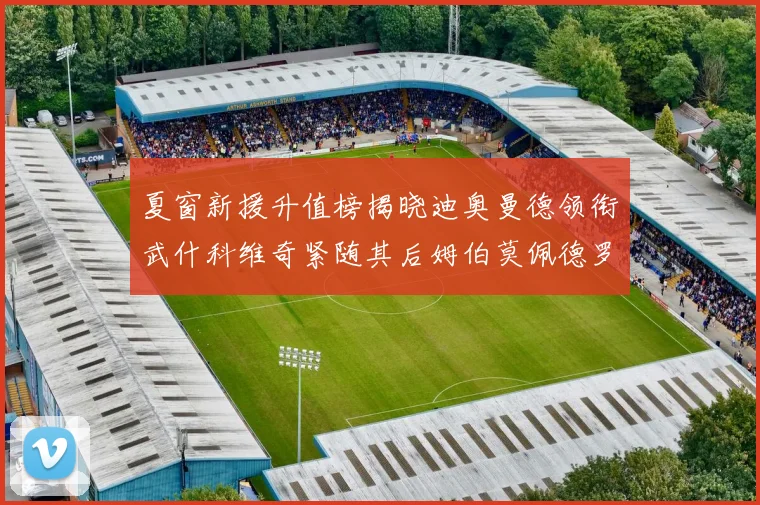 夏窗新援升值榜揭晓迪奥曼德领衔武什科维奇紧随其后姆伯莫佩德罗表现抢眼